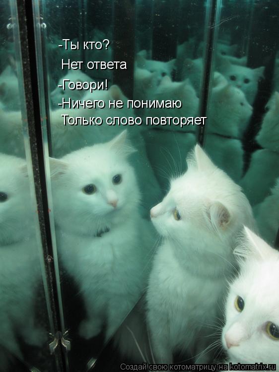 Котоматрица: -Ты кто? Нет ответа -Говори! -Ничего не понимаю  Только слово повторяет