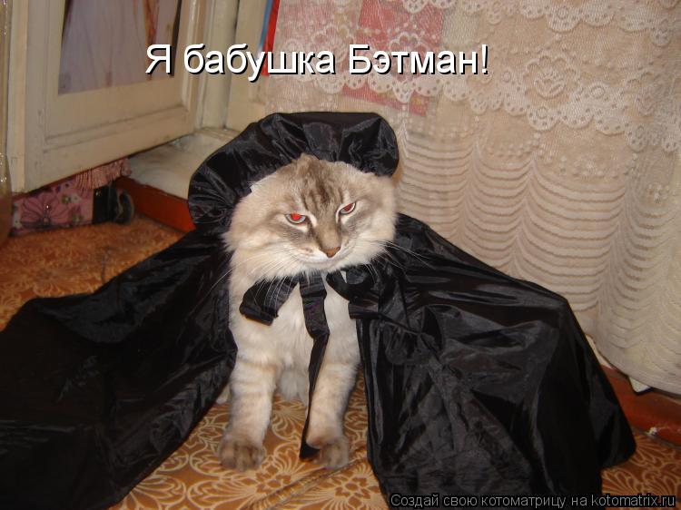 Котоматрица: Я бабушка Бэтман!