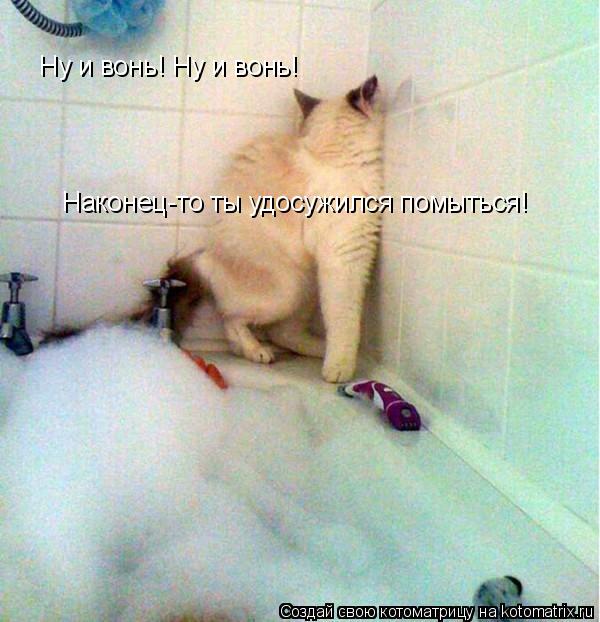 Ну и вонь! Ну и вонь! Наконец-то ты удосужился помыться!... Котоматрица: Ну и вонь! Ну и вонь! Наконец-то ты удосужился помыться!