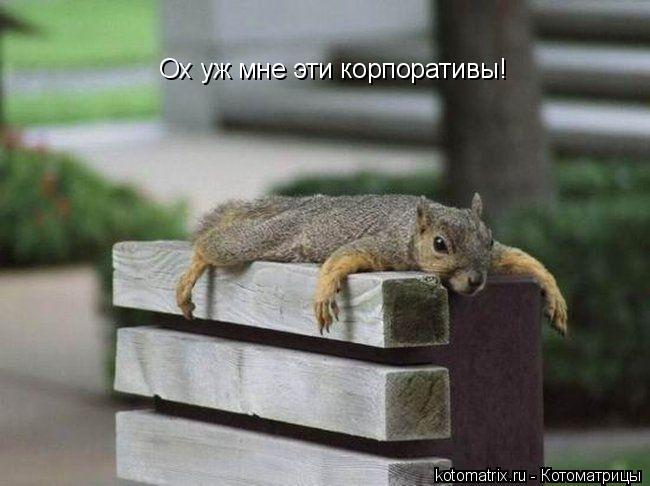Ох уж мне эти корпоративы!... Котоматрица: Ох уж мне эти корпоративы!