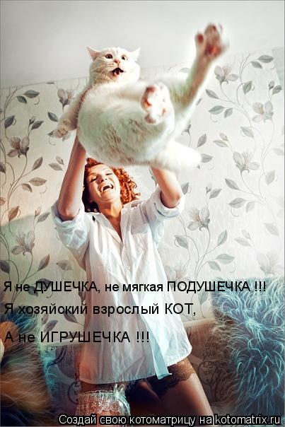 Я хозяйский взрослый КОТ, А не ИГРУШЕЧКА !!! Я не ДУШЕЧКА, не мягкая ПОДУШЕЧКА !!!... Котоматрица: Я хозяйский взрослый КОТ, А не ИГРУШЕЧКА !!! Я не ДУШЕЧКА, не мягкая ПОДУШЕЧКА !!!