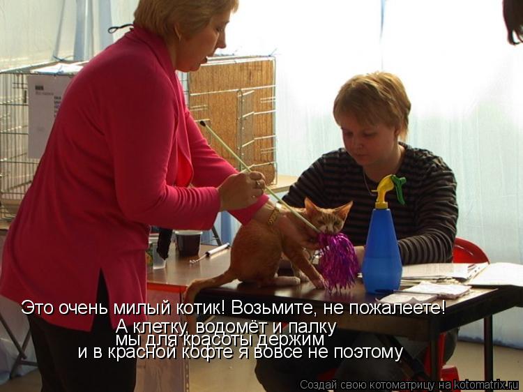 Это очень милый котик! Возьмите, не пожалеете! А клетку, водомёт и палку мы для красоты держим и в ... Котоматрица: Это очень милый котик! Возьмите, не пожалеете! А клетку, водомёт и палку мы для красоты держим и в красной кофте я вовсе не поэтому