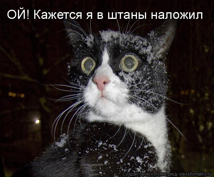 ОЙ! Кажется я в штаны наложил... Котоматрица: ОЙ! Кажется я в штаны наложил