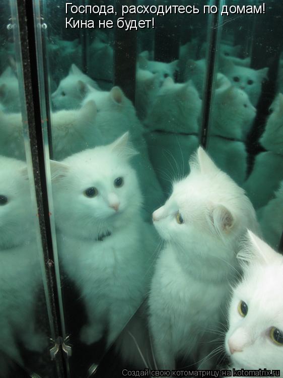 Господа, расходитесь по домам! Кина не будет!... Котоматрица: Господа, расходитесь по домам! Кина не будет!