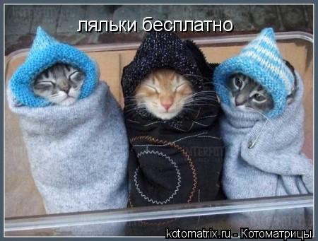 ляльки бесплатно... Котоматрица: ляльки бесплатно