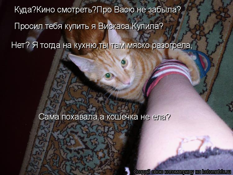Куда?Кино смотреть?Про Васю не забыла? Просил тебя купить я Вискаса.Купила? Сама похавала,а кошечка н... Котоматрица: Куда?Кино смотреть?Про Васю не забыла? Просил тебя купить я Вискаса.Купила? Сама похавала,а кошечка не ела? Нет? Я тогда на кухню,ты там мяско