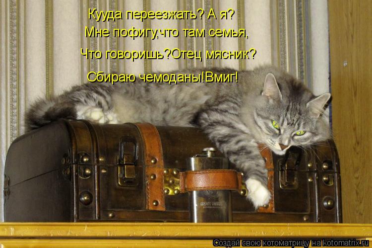 Кууда переезжать? А я? Мне пофигу,что там семья, Что говоришь?Отец мясник? Сбираю чемоданы!Вмиг!... Котоматрица: Кууда переезжать? А я? Мне пофигу,что там семья, Что говоришь?Отец мясник? Сбираю чемоданы!Вмиг!