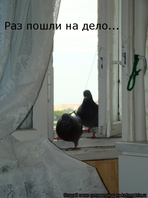 Раз пошли на дело...... Котоматрица: Раз пошли на дело...