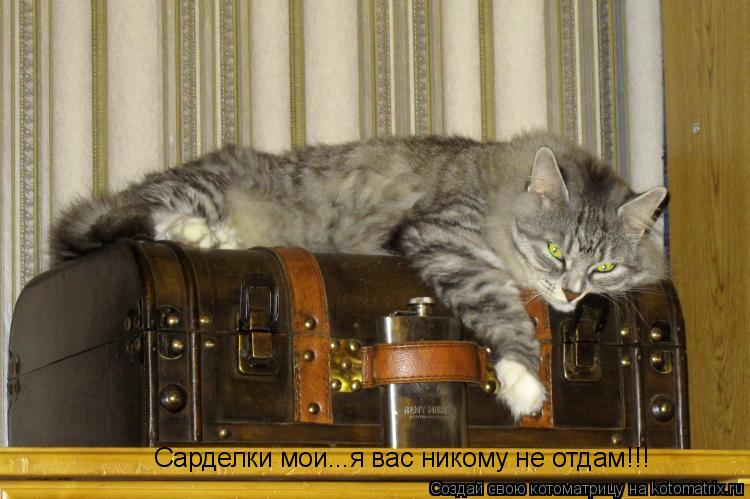 Котоматрица: Сарделки мои...я вас никому не отдам!!!