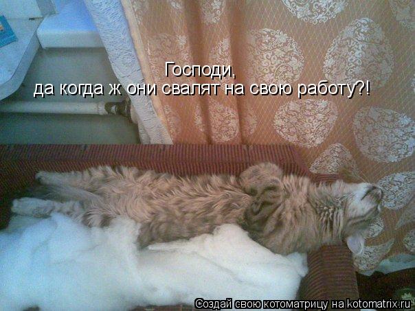 Котоматрица: Господи,  да когда ж они свалят на свою работу?!