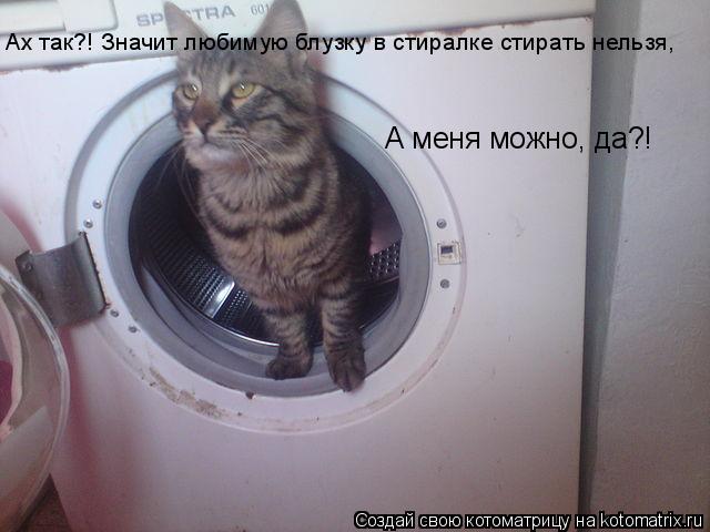 Котоматрица: Ах так?! Значит любимую блузку в стиралке стирать нельзя, А меня можно, да?!