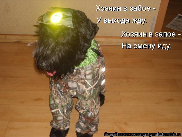 Котоматрица: Хозяин в забое -  У выхода жду. Хозяин в запое -  На смену иду.