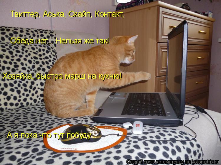 Котоматрица: Твиттер, Аська, Скайп, Контакт, Обеда нет... Нельзя же так! Хозяйка, быстро марш на кухню! А я пока что тут побуду...