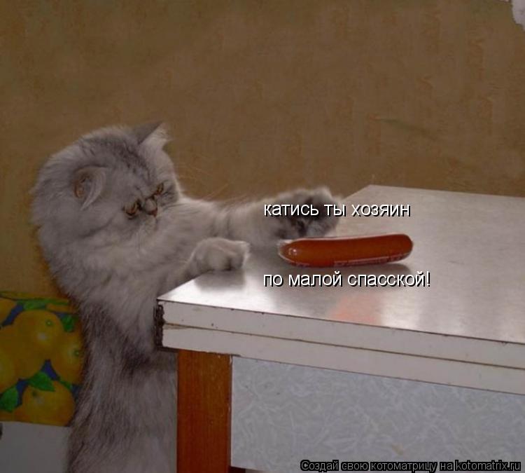 Котоматрица: катись ты хозяин по малой спасской!
