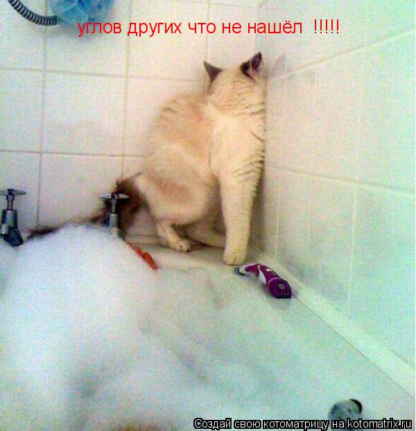 Котоматрица: углов других что не нашёл  !!!!!
