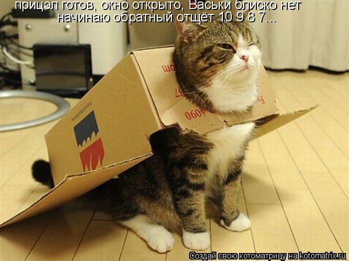 Котоматрица: начинаю обратный отщёт 10 9 8 7... прицэл готов, окно открыто, Васьки блиско нет