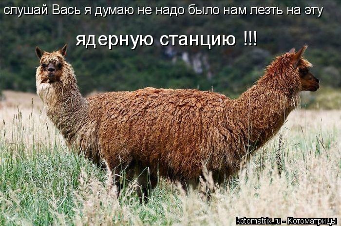 слушай Вась я думаю не надо было нам лезть на эту ядерную станцию ядерную станцию !!!... Котоматрица: слушай Вась я думаю не надо было нам лезть на эту ядерную станцию ядерную станцию !!!