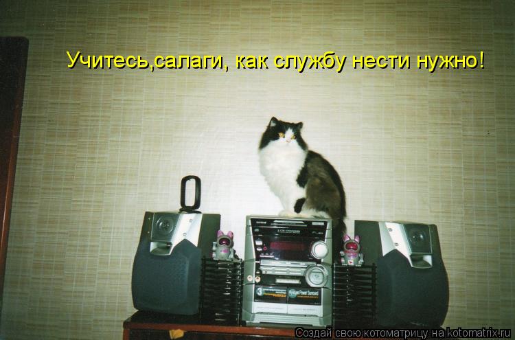 Учитесь,салаги, как службу нести нужно!... Котоматрица: Учитесь,салаги, как службу нести нужно!