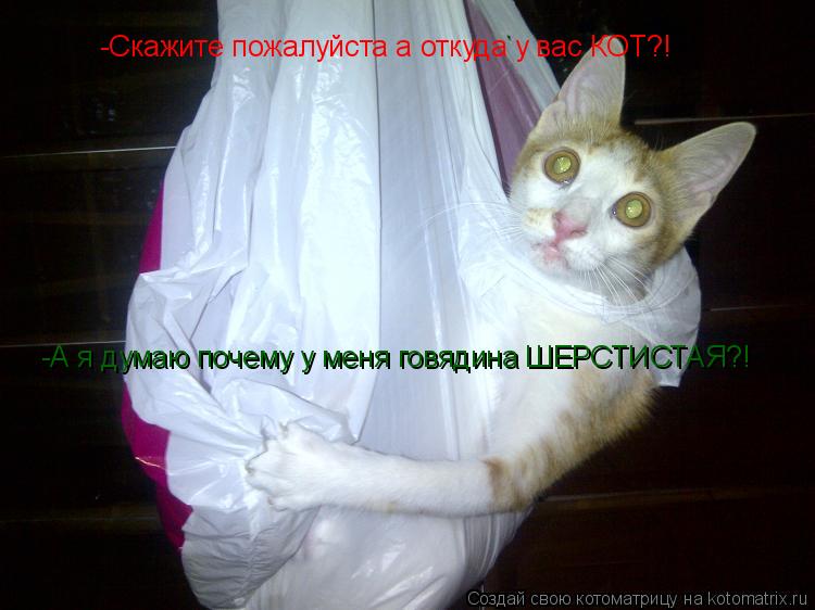 -Скажите пожалуйста а откуда у вас КОТ?! -А я думаю почему у меня говядина ШЕРСТИСТАЯ?!... Котоматрица: -Скажите пожалуйста а откуда у вас КОТ?! -А я думаю почему у меня говядина ШЕРСТИСТАЯ?!