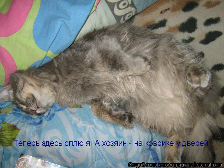 Теперь здесь сплю я! А хозяин - на коврике у дверей.... Котоматрица: Теперь здесь сплю я! А хозяин - на коврике у дверей.