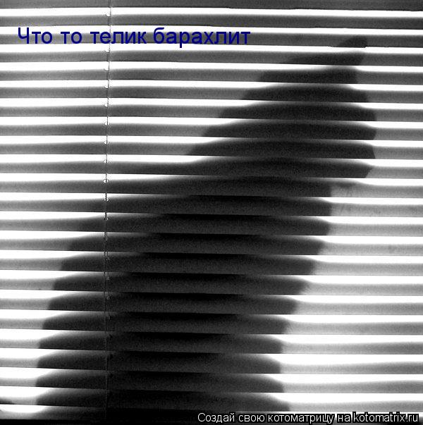 Что то телик барахлит... Котоматрица: Что то телик барахлит