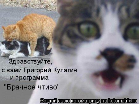 Котоматрица: Здравствуйте, с вами Григорий Кулагин и программа "Брачное чтиво"