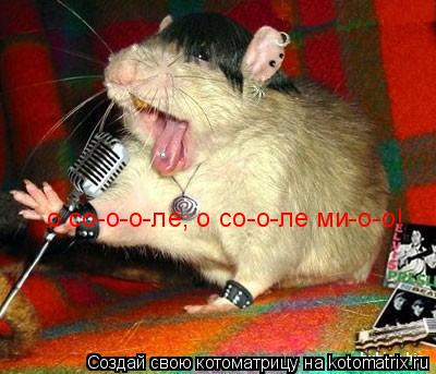 Котоматрица: о со-о-о-ле, о со-о-ле ми-о-о!