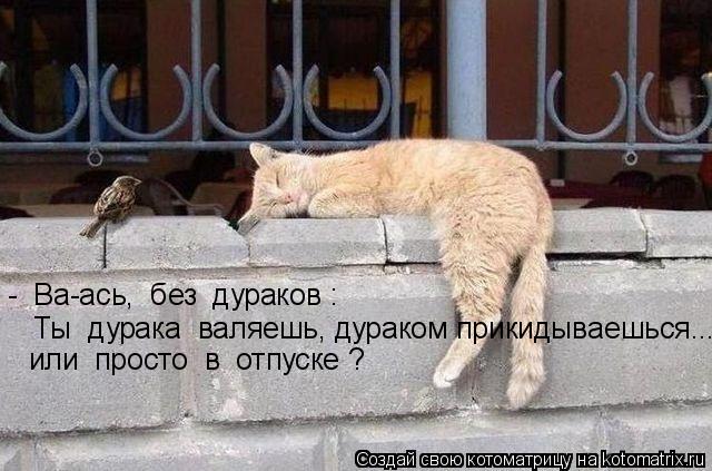 Котоматрица: -  Ва-ась,  без  дураков :  Ты  дурака  валяешь, дураком прикидываешься... или  просто  в  отпуске ?