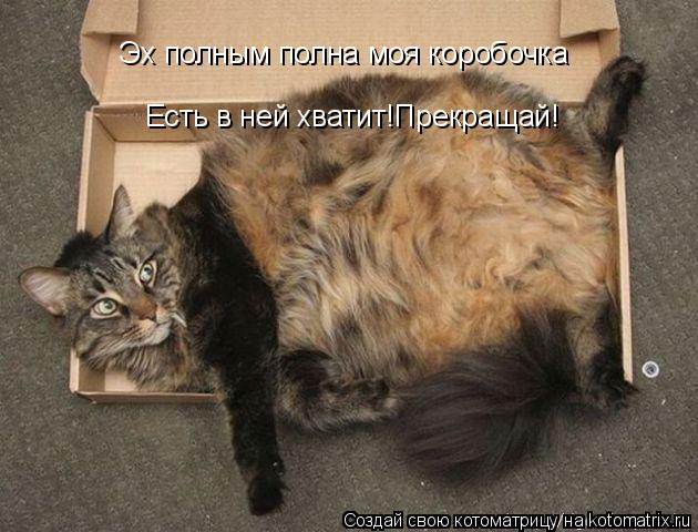 Котоматрица: Эх полным полна моя коробочка  Есть в ней хватит!Прекращай!