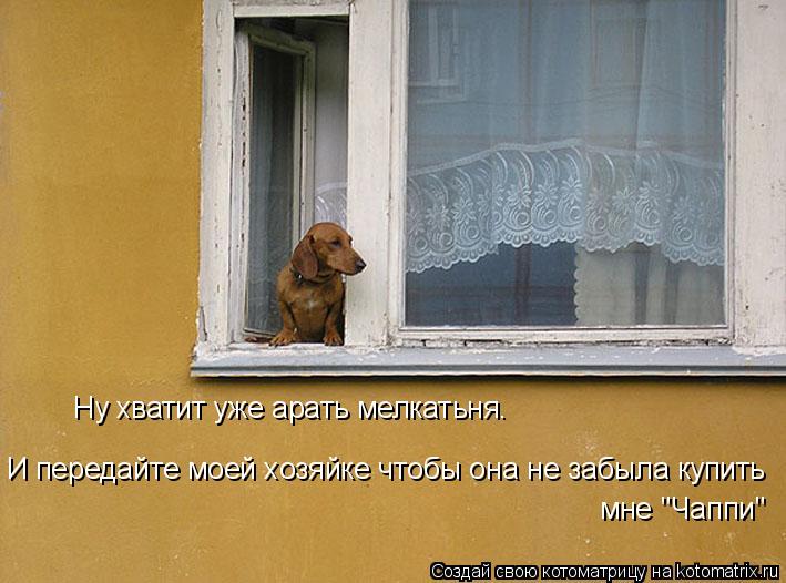 Котоматрица: Ну хватит уже арать мелкатьня.  И передайте моей хозяйке чтобы она не забыла купить  мне "Чаппи"