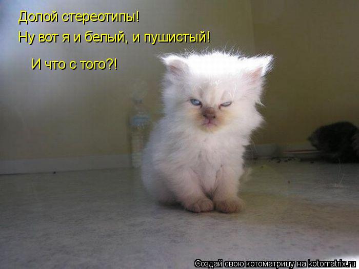 Котоматрица: Долой стереотипы! Ну вот я и белый, и пушистый! И что с того?!