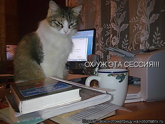 Котоматрица: ОХ УЖ ЭТА СЕССИЯ!!!