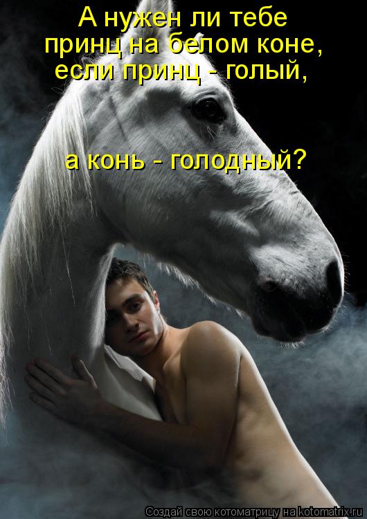 Котоматрица: А нужен ли тебе принц на белом коне, если принц - голый, а конь - голодный?