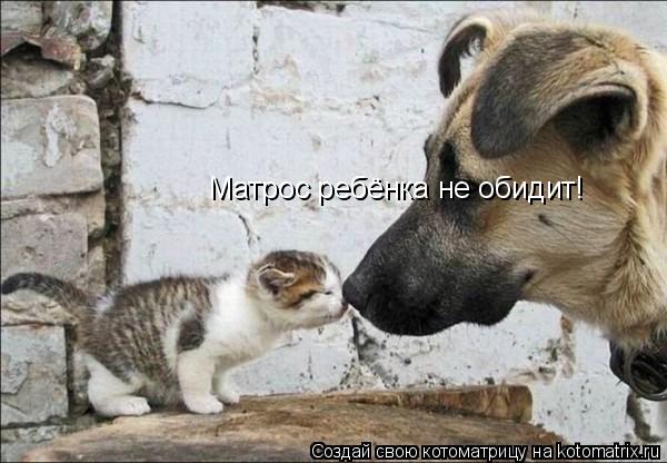 Котоматрица: Матрос ребёнка не обидит!