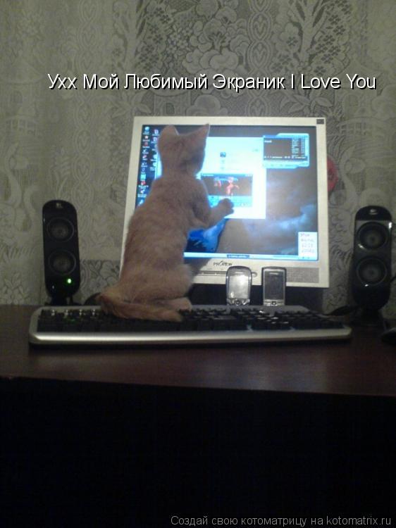 Котоматрица: Ухх Мой Любимый Экраник I Love You