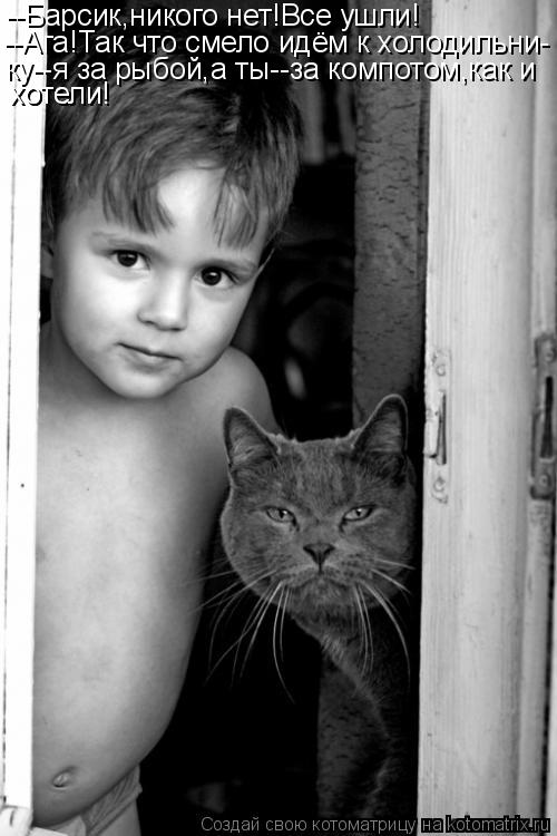 Котоматрица: --Барсик,никого нет!Все ушли! --Ага!Так что смело идём к холодильни- ку--я за рыбой,а ты--за компотом,как и хотели! хотели!