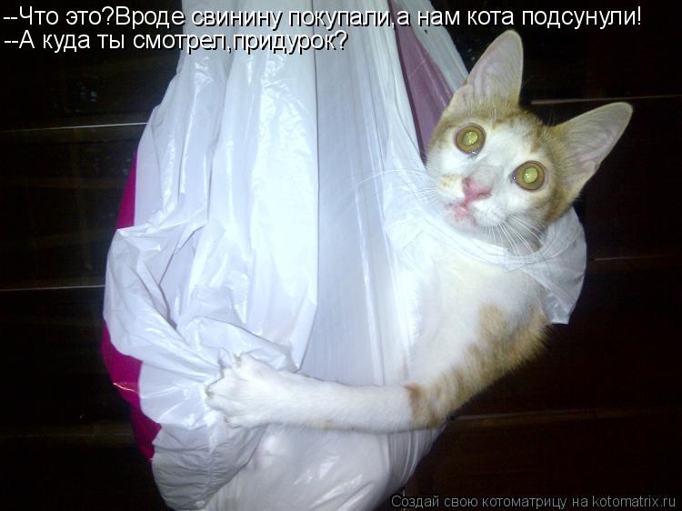 Котоматрица: --Что это?Вроде свинину покупали,а нам кота подсунули! --А куда ты смотрел,придурок?