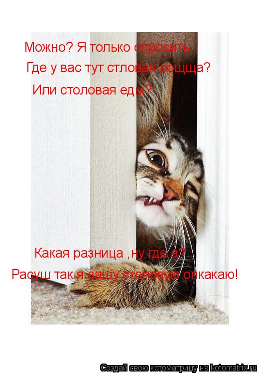 Котоматрица: Можно? Я только спросить Где у вас тут стловая рощща? Или столовая еды? Какая разница ,ну где а?  Расуш так я вашу столовую опкакаю!