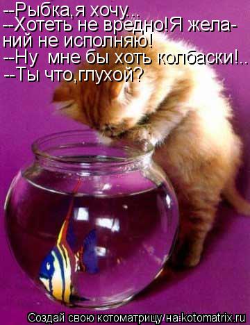 Котоматрица: --Рыбка,я хочу... --Хотеть не вредно!Я жела- ний не исполняю! --Ну  мне бы хоть колбаски!.. --Ты что,глухой?