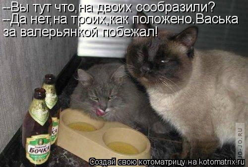 Котоматрица: --Вы тут что,на двоих сообразили? --Да нет,на троих,как положено.Васька за валерьянкой побежал!