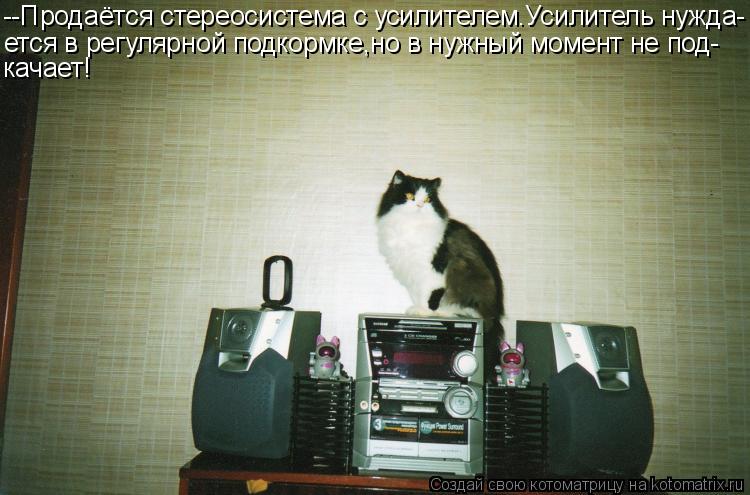 Котоматрица: --Продаётся стереосистема с усилителем.Усилитель нужда- ется в регулярной подкормке,но в нужный момент не под- качает!