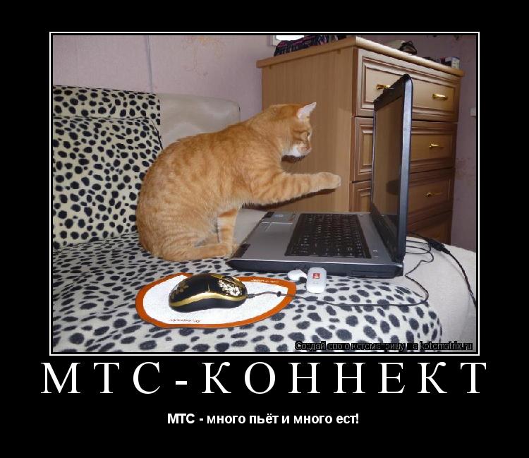 МТС-коннект МТС - много пьёт и много ест!... Котоматрица: МТС-коннект МТС - много пьёт и много ест!