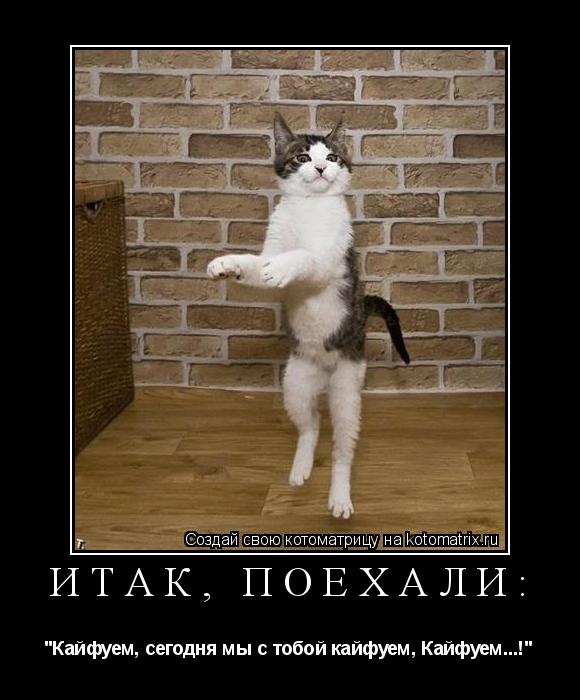 Котоматрица: Итак, поехали:  "Кайфуем, сегодня мы с тобой кайфуем, Кайфуем...!"