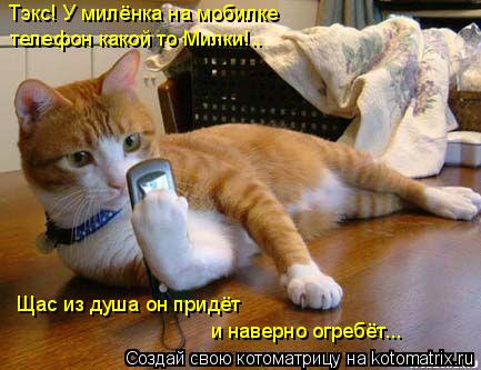 Тэкс! У милёнка на мобилке телефон какой то Милки!.. Щас из душа он придёт и наверно огребёт...... Котоматрица: Тэкс! У милёнка на мобилке телефон какой то Милки!.. Щас из душа он придёт и наверно огребёт...