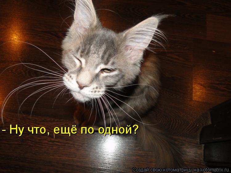 Котоматрица: - Ну что, ещё по одной?