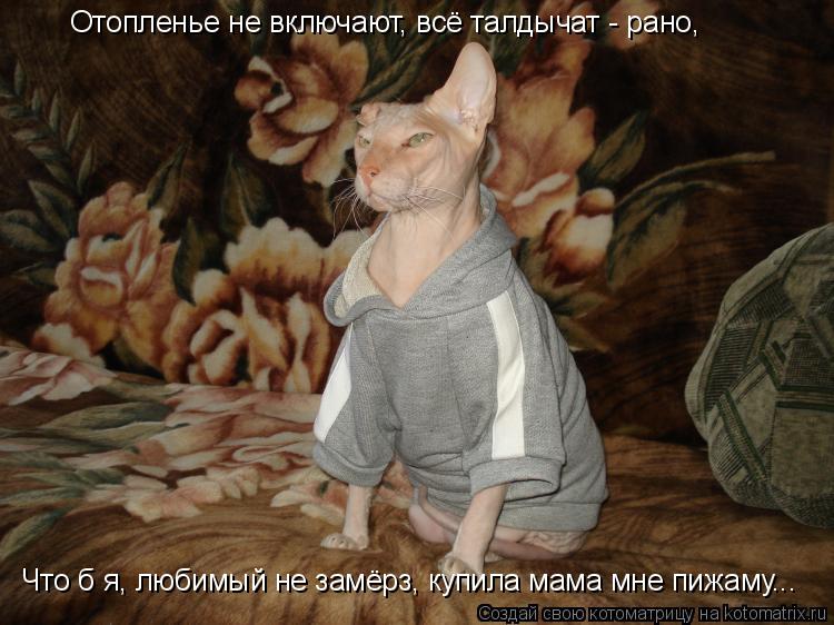 Отопленье не включают, всё талдычат - рано, Что б я, любимый не замёрз, купила мама мне пижаму...... Котоматрица: Отопленье не включают, всё талдычат - рано, Что б я, любимый не замёрз, купила мама мне пижаму...