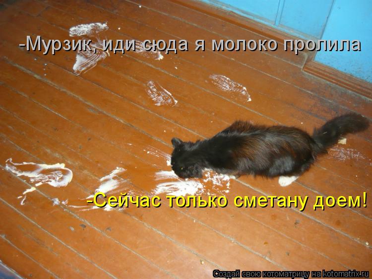 Котоматрица: -Мурзик, иди сюда я молоко пролила -Сейчас только сметану доем!
