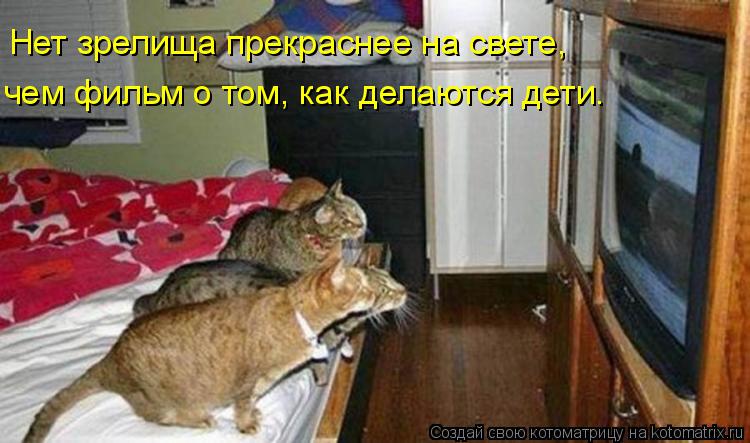 Котоматрица: Нет зрелища прекраснее на свете, чем фильм о том, как делаются дети.