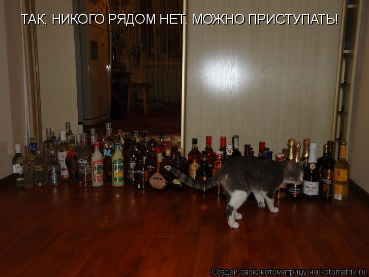 Котоматрица: ТАК, НИКОГО РЯДОМ НЕТ. МОЖНО ПРИСТУПАТЬ!