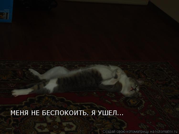 Котоматрица: МЕНЯ НЕ БЕСПОКОИТЬ. Я УШЕЛ...